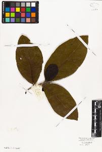 SW_BNB_s3010-06742_IMG-0000000001