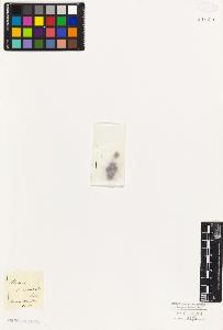SW_BNB_s3010-06743_IMG-0000000001