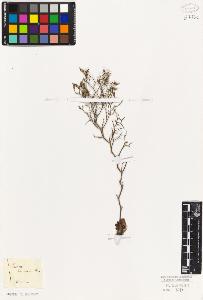 SW_BNB_s3010-06745_IMG-0000000001
