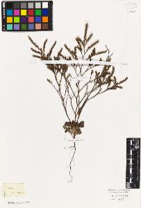 SW_BNB_s3010-06746_IMG-0000000001