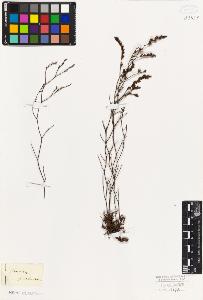 SW_BNB_s3010-06747_IMG-0000000001