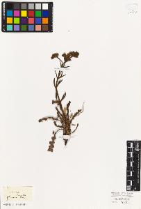 SW_BNB_s3010-06748_IMG-0000000001