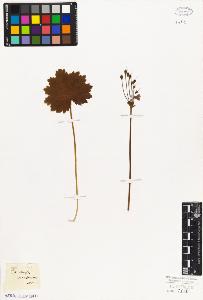 SW_BNB_s3010-06751_IMG-0000000001