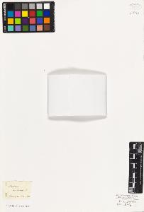 SW_BNB_s3010-06755_IMG-0000000001