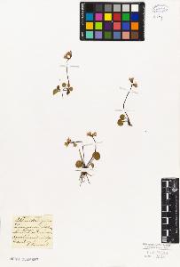 SW_BNB_s3010-06759_IMG-0000000001