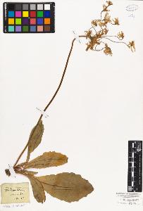 SW_BNB_s3010-06761_IMG-0000000001