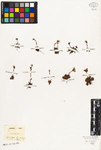 SW_BNB_s3010-06768_IMG-0000000001