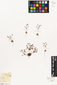 SW_BNB_s3010-06769_IMG-0000000001