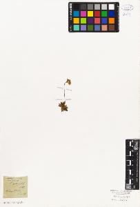 SW_BNB_s3010-06770_IMG-0000000001