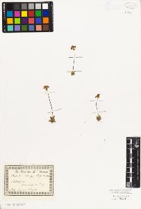 SW_BNB_s3010-06771_IMG-0000000001
