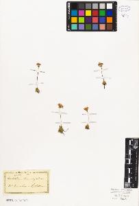 SW_BNB_s3010-06773_IMG-0000000001