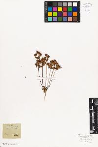 SW_BNB_s3010-06775_IMG-0000000001