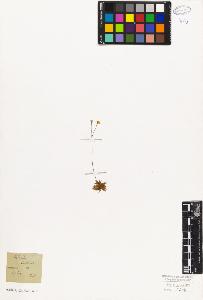 SW_BNB_s3010-06776_IMG-0000000001