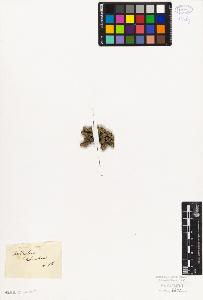 SW_BNB_s3010-06777_IMG-0000000001