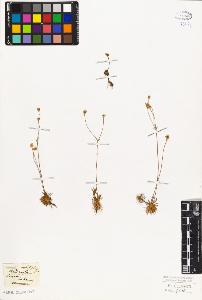 SW_BNB_s3010-06779_IMG-0000000001