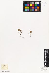SW_BNB_s3010-06787_IMG-0000000001