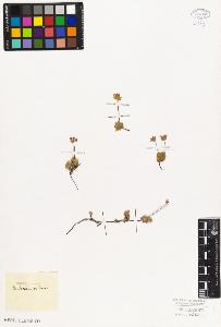 SW_BNB_s3010-06789_IMG-0000000001