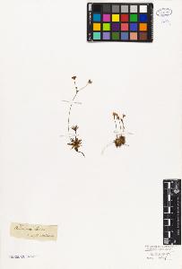 SW_BNB_s3010-06790_IMG-0000000001