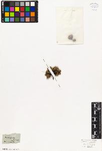 SW_BNB_s3010-06791_IMG-0000000001
