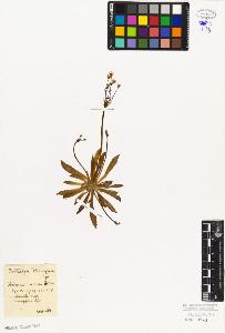 SW_BNB_s3010-06792_IMG-0000000001