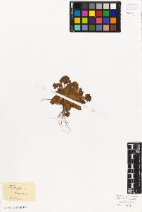 SW_BNB_s3010-06793_IMG-0000000001