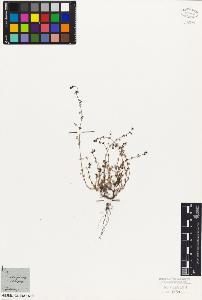 SW_BNB_s3010-06796_IMG-0000000001