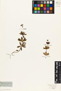 SW_BNB_s3010-06799_IMG-0000000001