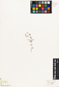 SW_BNB_s3010-06802_IMG-0000000001