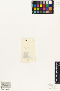 SW_BNB_s3010-06803_IMG-0000000001