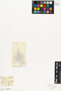 SW_BNB_s3010-06804_IMG-0000000001