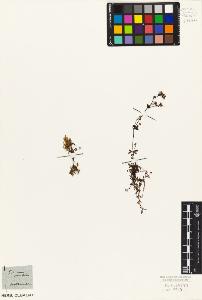 SW_BNB_s3010-06807_IMG-0000000001