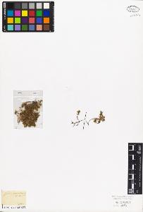 SW_BNB_s3010-06812_IMG-0000000001