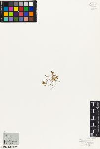 SW_BNB_s3010-06814_IMG-0000000001