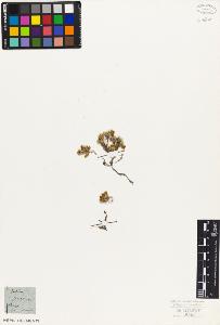 SW_BNB_s3010-06815_IMG-0000000001