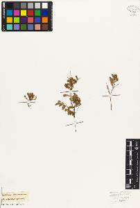 SW_BNB_s3010-06816_IMG-0000000001