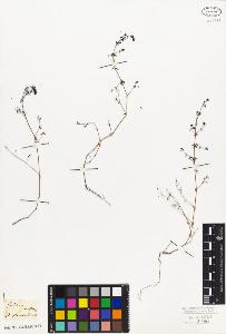 SW_BNB_s3010-06817_IMG-0000000001