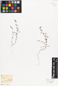 SW_BNB_s3010-06818_IMG-0000000001