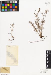 SW_BNB_s3010-06819_IMG-0000000001