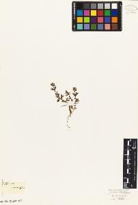 SW_BNB_s3010-06823_IMG-0000000001