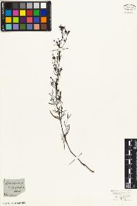 SW_BNB_s3010-06826_IMG-0000000001