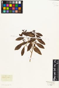 SW_BNB_s3010-06829_IMG-0000000001