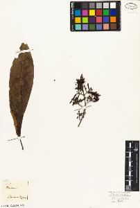 SW_BNB_s3010-06830_IMG-0000000001