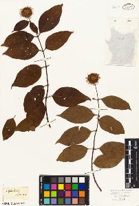SW_BNB_s3010-06831_IMG-0000000001