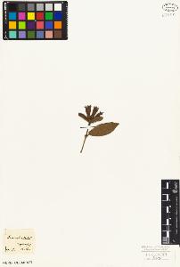 SW_BNB_s3010-06833_IMG-0000000001