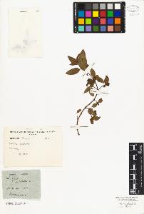 SW_BNB_s3010-06834_IMG-0000000001