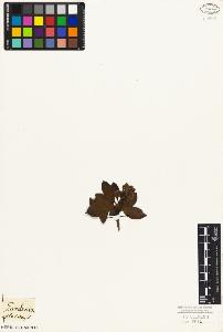 SW_BNB_s3010-06835_IMG-0000000001