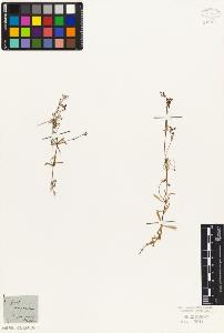 SW_BNB_s3010-06836_IMG-0000000001