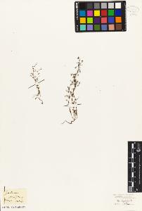 SW_BNB_s3010-06837_IMG-0000000001