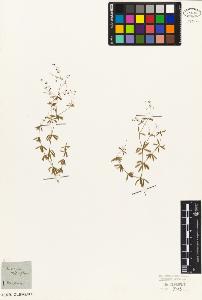 SW_BNB_s3010-06838_IMG-0000000001