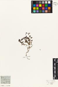SW_BNB_s3010-06842_IMG-0000000001